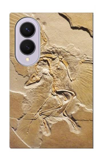S0380 恐竜化石 Dinosaur Fossil Samsung Galaxy Z Fold 8 バックケース、フリップケース・カバー