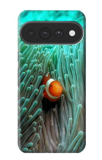 S3893 カクレクマノミ Ocellaris clownfish Google Pixel 11 Pro XL バックケース、フリップケース・カバー