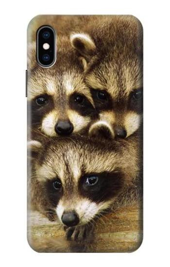 S0977 アライグマの赤ちゃん Baby Raccoons iPhone X, iPhone XS バックケース、フリップケース・カバー