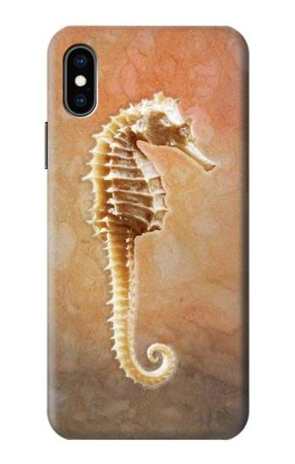 S2674 タツノオトシゴスケルトン化石 Seahorse Skeleton Fossil iPhone X, iPhone XS バックケース、フリップケース・カバー