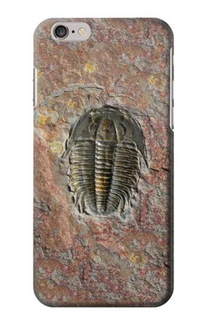 S1454 三葉虫の化石 Trilobite Fossil iPhone 6 6S バックケース、フリップケース・カバー