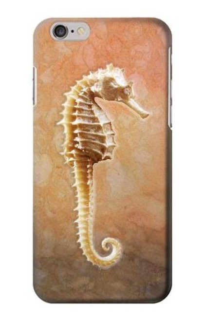 S2674 タツノオトシゴスケルトン化石 Seahorse Skeleton Fossil iPhone 6 6S バックケース、フリップケース・カバー