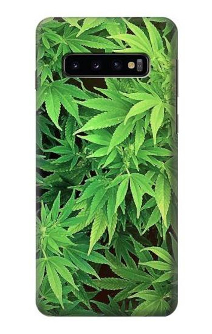 S1656 マリファナ Marijuana Plant Samsung Galaxy S10 バックケース、フリップケース・カバー