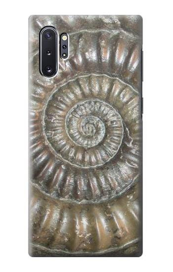 S1788 アンモナイト化石 Ammonite Fossil Samsung Galaxy Note 10 Plus バックケース、フリップケース・カバー