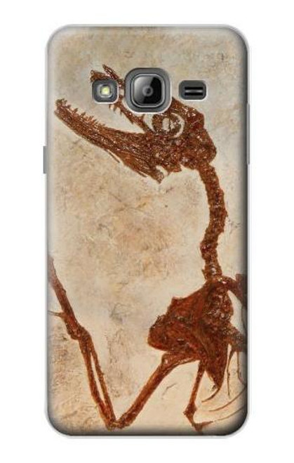 S0379 恐竜化石 Dinosaur Fossil Samsung Galaxy J3 (2016) バックケース、フリップケース・カバー