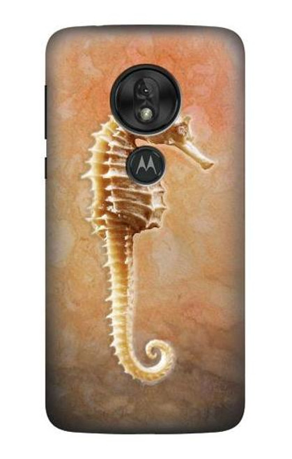 S2674 タツノオトシゴスケルトン化石 Seahorse Skeleton Fossil Motorola Moto G7 Play バックケース、フリップケース・カバー