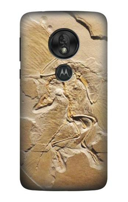 S0380 恐竜化石 Dinosaur Fossil Motorola Moto G7 Power バックケース、フリップケース・カバー