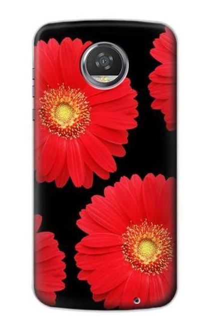 S2478 赤デイジーの花 Red Daisy flower Motorola Moto Z2 Play, Z2 Force バックケース、フリップケース・カバー