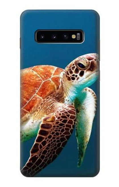 S3497 ウミガメ Green Sea Turtle Samsung Galaxy S10 Plus バックケース、フリップケース・カバー