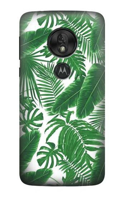 S3457 ペーパーパームモンステラ Paper Palm Monstera Motorola Moto G7 Play バックケース、フリップケース・カバー