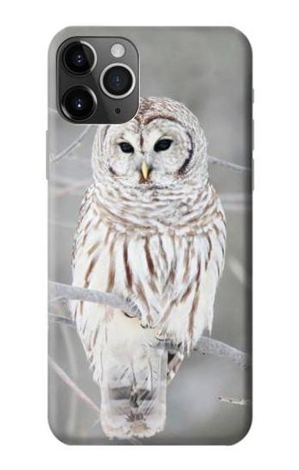 S1566 白フクロウ シロフクロウ Snowy Owl White Owl iPhone 11 Pro バックケース、フリップケース・カバー