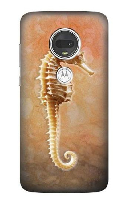 S2674 タツノオトシゴスケルトン化石 Seahorse Skeleton Fossil Motorola Moto G7, Moto G7 Plus バックケース、フリップケース・カバー