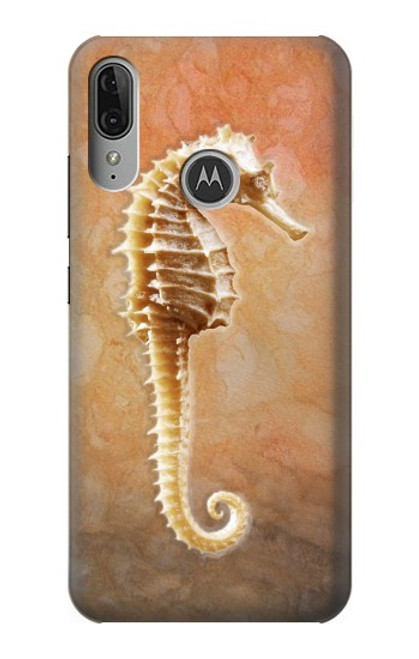 S2674 タツノオトシゴスケルトン化石 Seahorse Skeleton Fossil Motorola Moto E6 Plus, Moto E6s バックケース、フリップケース・カバー