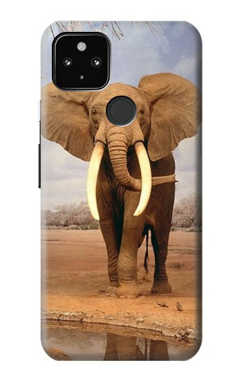 S0310 アフリカゾウ African Elephant Google Pixel 4a 5G バックケース、フリップケース・カバー