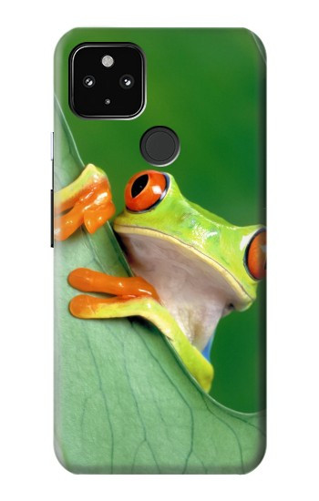 S1047 小さなカエル Little Frog Google Pixel 4a 5G バックケース、フリップケース・カバー