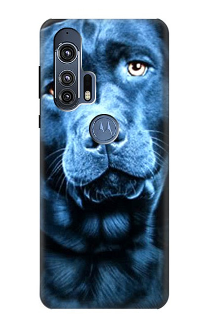 S0750 ラブラドール・レトリーバーの犬 Labrador Retriever Motorola Edge+ バックケース、フリップケース・カバー