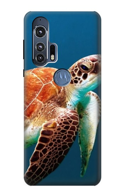 S3497 ウミガメ Green Sea Turtle Motorola Edge+ バックケース、フリップケース・カバー