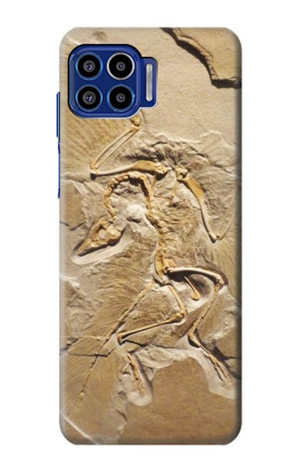 S0380 恐竜化石 Dinosaur Fossil Motorola One 5G バックケース、フリップケース・カバー