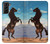 S0934 黒野生馬 Wild Black Horse Samsung Galaxy S21 Plus 5G, Galaxy S21+ 5G バックケース、フリップケース・カバー
