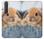S0242 可愛いウサギ Cute Rabbit Sony Xperia 1 III バックケース、フリップケース・カバー