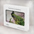 S2773 ピーコック中国の絵画 Peacock Chinese Brush Painting MacBook Air 13″ - A1932, A2179, A2337 ケース・カバー