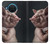 S1273 クレイジー豚 Crazy Pig Nokia X20 バックケース、フリップケース・カバー