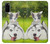 S3795 不機嫌子猫遊び心シベリアンハスキー犬ペイント Grumpy Kitten Cat Playful Siberian Husky Dog Paint Samsung Galaxy S20 バックケース、フリップケース・カバー