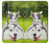 S3795 不機嫌子猫遊び心シベリアンハスキー犬ペイント Grumpy Kitten Cat Playful Siberian Husky Dog Paint Samsung Galaxy A70 バックケース、フリップケース・カバー