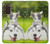 S3795 不機嫌子猫遊び心シベリアンハスキー犬ペイント Grumpy Kitten Cat Playful Siberian Husky Dog Paint Samsung Galaxy Z Fold2 5G バックケース、フリップケース・カバー