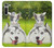 S3795 不機嫌子猫遊び心シベリアンハスキー犬ペイント Grumpy Kitten Cat Playful Siberian Husky Dog Paint Motorola Moto G8 バックケース、フリップケース・カバー