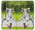 S3795 不機嫌子猫遊び心シベリアンハスキー犬ペイント Grumpy Kitten Cat Playful Siberian Husky Dog Paint Samsung Galaxy Z Fold 3 5G バックケース、フリップケース・カバー