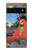 S2234 禅師 Zen Master Bodhidharma Yoshitoshi Google Pixel 6 バックケース、フリップケース・カバー