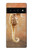 S2674 タツノオトシゴスケルトン化石 Seahorse Skeleton Fossil Google Pixel 6 Pro バックケース、フリップケース・カバー