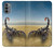 S0150 砂漠のサソリ Desert Scorpion Motorola Moto G31 バックケース、フリップケース・カバー