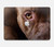 S0519 ピットブルの顔 PitBull Face MacBook Pro 14 M1,M2,M3 (2021,2023) - A2442, A2779, A2992, A2918 ケース・カバー