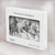 S0933 白馬 White Horses MacBook Pro 14 M1,M2,M3 (2021,2023) - A2442, A2779, A2992, A2918 ケース・カバー