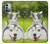 S3795 不機嫌子猫遊び心シベリアンハスキー犬ペイント Kitten Cat Playful Siberian Husky Dog Paint Nokia G11, G21 バックケース、フリップケース・カバー