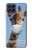 S3806 面白いキリン Funny Giraffe Samsung Galaxy M53 バックケース、フリップケース・カバー