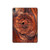 S0603 木材 グラフィックプリント Wood Graphic Printed iPad Air (2020, 2022), Air 11 (2024,2025,2026), Pro 11 (2022) タブレットケース