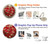 S2414 赤開花アーモンドの木 フィンセント・ファン・ゴッホ Red Blossoming Almond Tree Van Gogh OnePlus Nord N20 5G バックケース、フリップケース・カバー