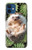 S3863 ピグミー ハリネズミ ドワーフ ハリネズミ ペイント Pygmy Hedgehog Dwarf Hedgehog Paint iPhone 12 mini バックケース、フリップケース・カバー