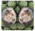 S3863 ピグミー ハリネズミ ドワーフ ハリネズミ ペイント Pygmy Hedgehog Dwarf Hedgehog Paint iPhone 7 Plus, iPhone 8 Plus バックケース、フリップケース・カバー