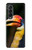 S3876 カラフルなサイチョウ Colorful Hornbill Samsung Galaxy Z Fold 3 5G バックケース、フリップケース・カバー
