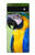 S3888 コンゴウインコの顔の鳥 Macaw Face Bird Google Pixel 6a バックケース、フリップケース・カバー