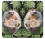 S3863 ピグミー ハリネズミ ドワーフ ハリネズミ ペイント Pygmy Hedgehog Dwarf Hedgehog Paint Motorola Moto G Power (2021) バックケース、フリップケース・カバー