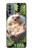 S3863 ピグミー ハリネズミ ドワーフ ハリネズミ ペイント Pygmy Hedgehog Dwarf Hedgehog Paint Motorola Moto G31 バックケース、フリップケース・カバー