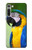 S3888 コンゴウインコの顔の鳥 Macaw Face Bird Motorola Moto G8 バックケース、フリップケース・カバー