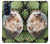 S3863 ピグミー ハリネズミ ドワーフ ハリネズミ ペイント Pygmy Hedgehog Dwarf Hedgehog Paint Motorola Edge X30 バックケース、フリップケース・カバー