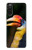S3876 カラフルなサイチョウ Colorful Hornbill Sony Xperia 10 III バックケース、フリップケース・カバー