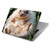 S3863 ピグミー ハリネズミ ドワーフ ハリネズミ ペイント Pygmy Hedgehog Dwarf Hedgehog Paint MacBook Pro 16″ - A2141 ケース・カバー
